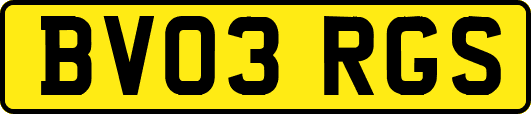 BV03RGS