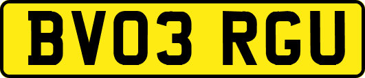 BV03RGU
