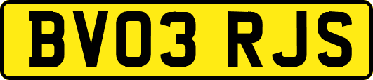 BV03RJS