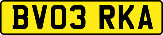 BV03RKA