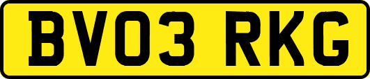 BV03RKG