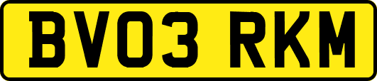 BV03RKM
