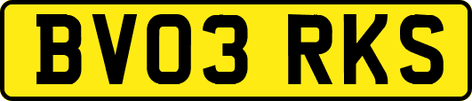BV03RKS