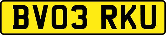 BV03RKU