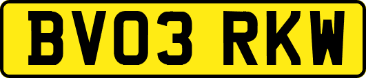 BV03RKW