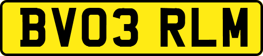 BV03RLM