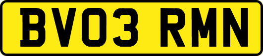 BV03RMN