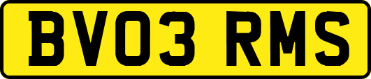 BV03RMS