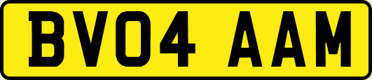 BV04AAM