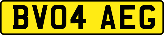 BV04AEG