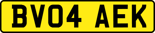 BV04AEK