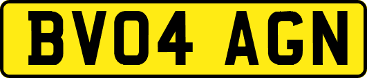 BV04AGN