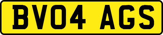 BV04AGS