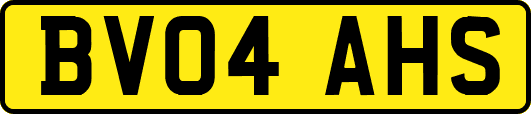 BV04AHS