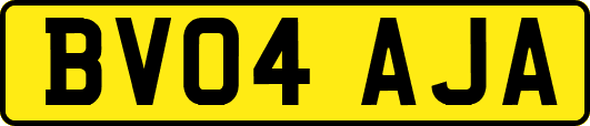 BV04AJA