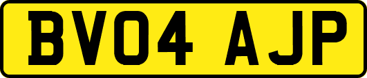 BV04AJP