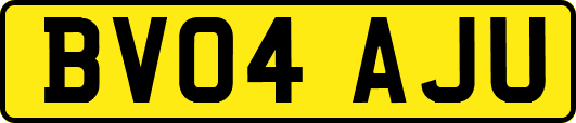BV04AJU