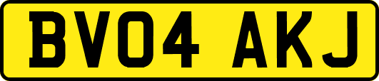 BV04AKJ