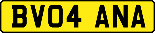 BV04ANA