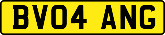 BV04ANG