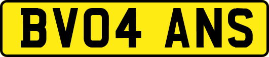 BV04ANS