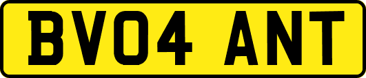 BV04ANT