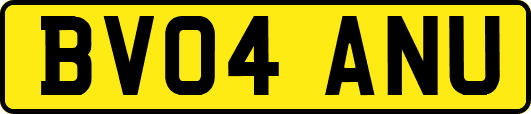 BV04ANU