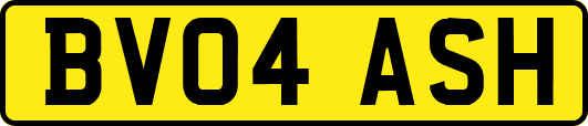 BV04ASH