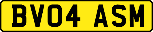 BV04ASM