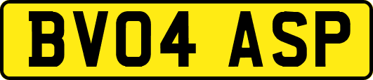 BV04ASP