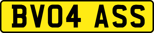BV04ASS