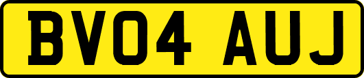 BV04AUJ