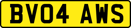 BV04AWS