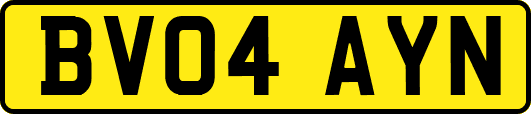 BV04AYN