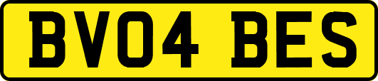 BV04BES