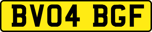 BV04BGF