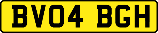BV04BGH