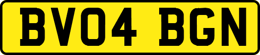 BV04BGN