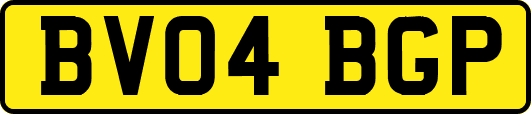 BV04BGP