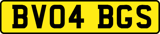 BV04BGS