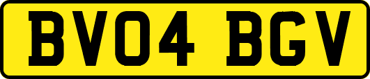BV04BGV
