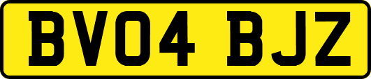 BV04BJZ