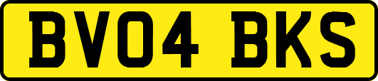 BV04BKS