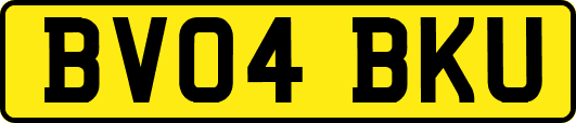 BV04BKU