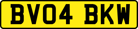 BV04BKW