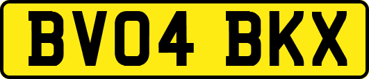 BV04BKX