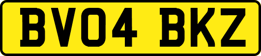 BV04BKZ