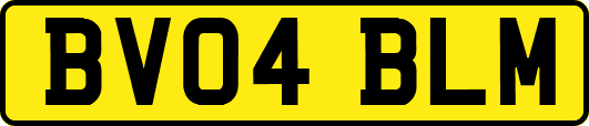 BV04BLM