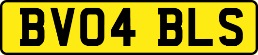 BV04BLS