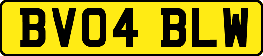 BV04BLW